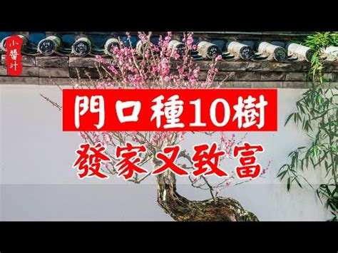 門口放水|【家門口風水】避開「家門口風水」10大禁忌！錢財滾滾來，好運。